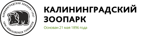 Купить Билет В Зоопарк Калининград Онлайн