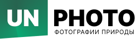 Moswalk