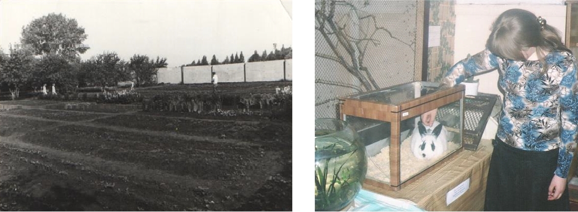 Станция юных натуралистов №1 города Тамбова: учебно-опытный участок (слева), кабинет зоологического кружка (справа)