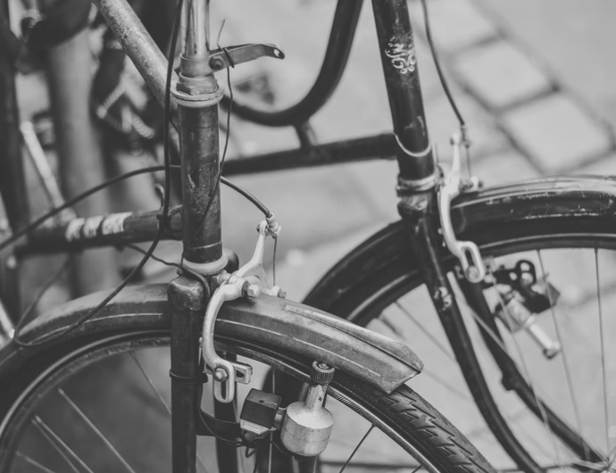 Electra Bicycles — Bike Store Dubai Cycle Hub UAE