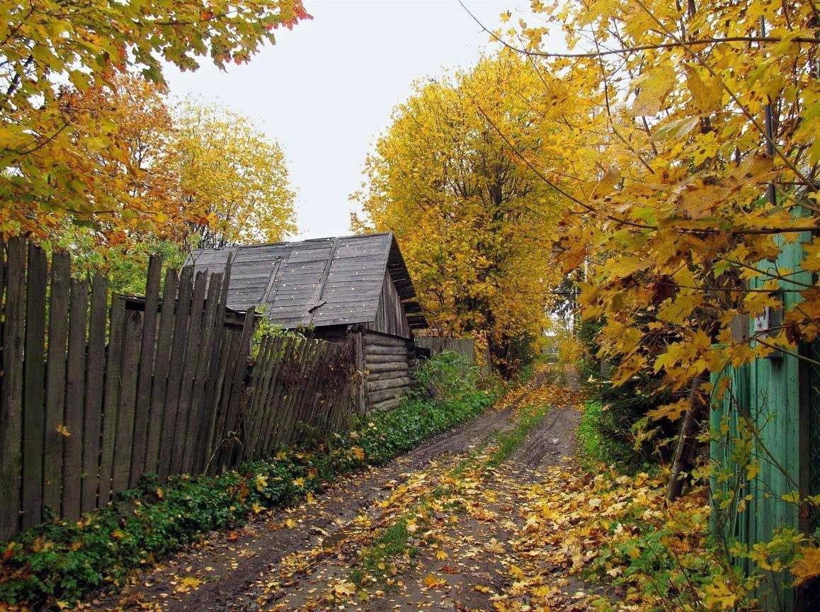 Осень в деревне — дорога у деревянного забора