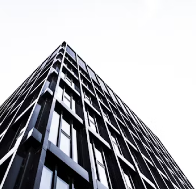 For companies and entrepreneurs, communication with clients, tutoring for business