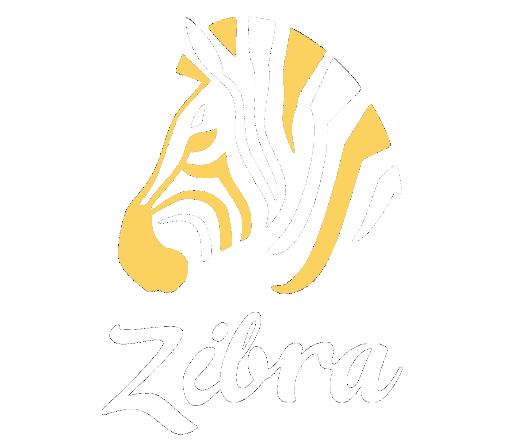  ZIBRA - Cleaning 