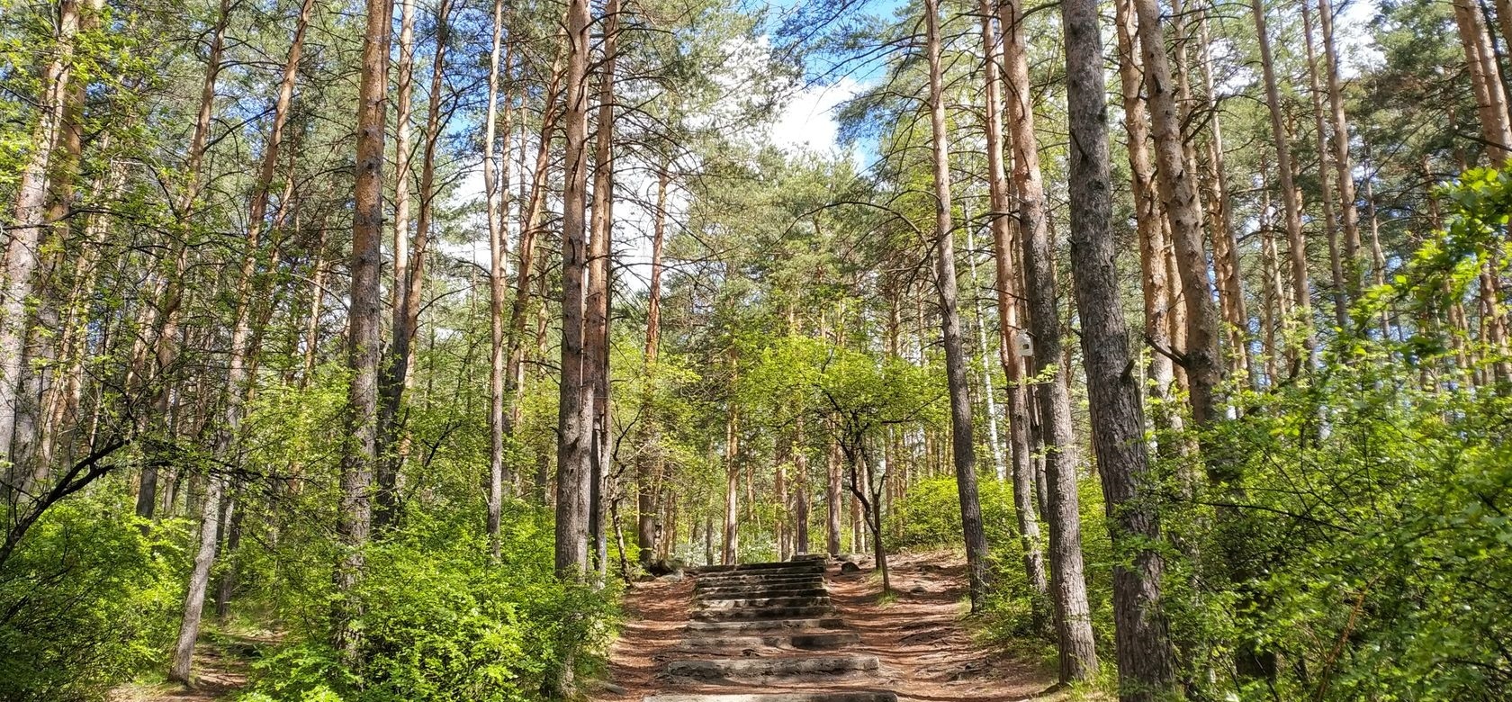 парк шарташ