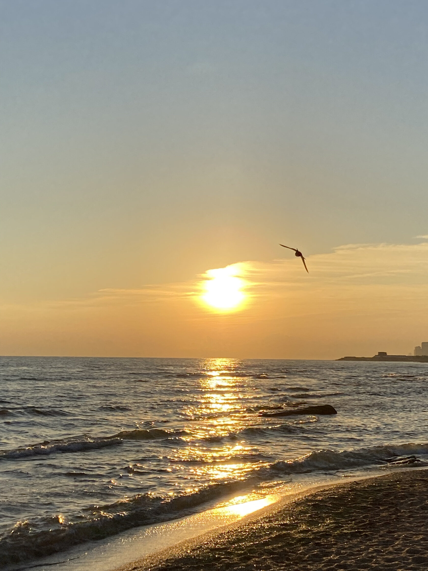 Рассвет над Каспийским морем. Пляжный отдых в Дагестане