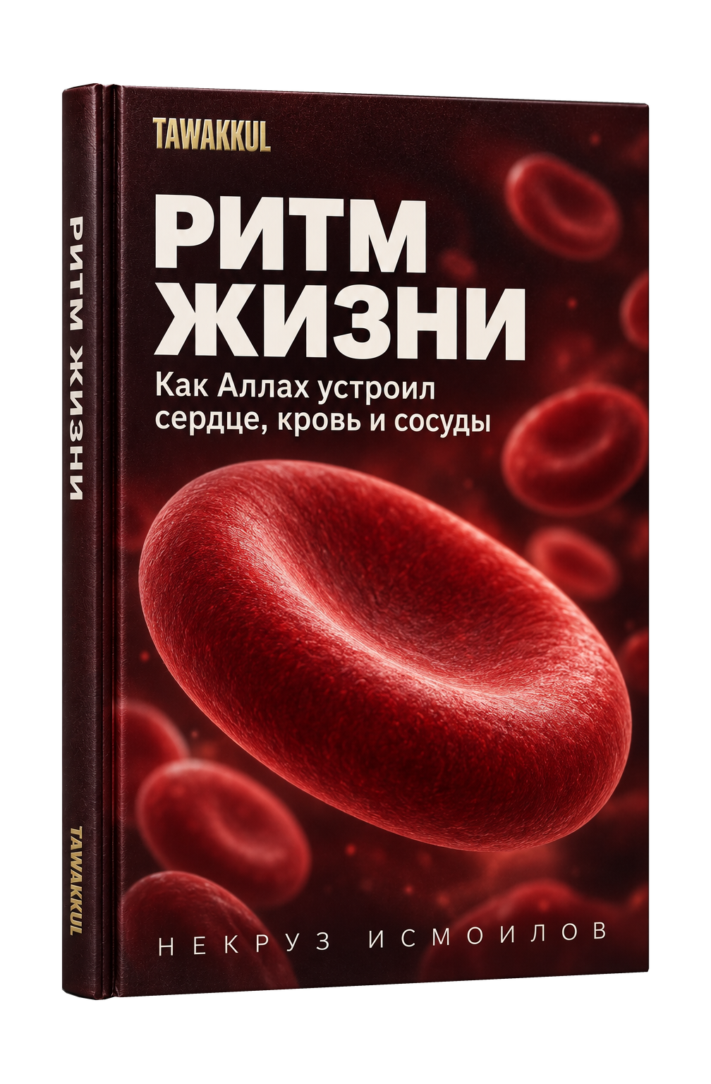Ритм жизни. Обложка книги