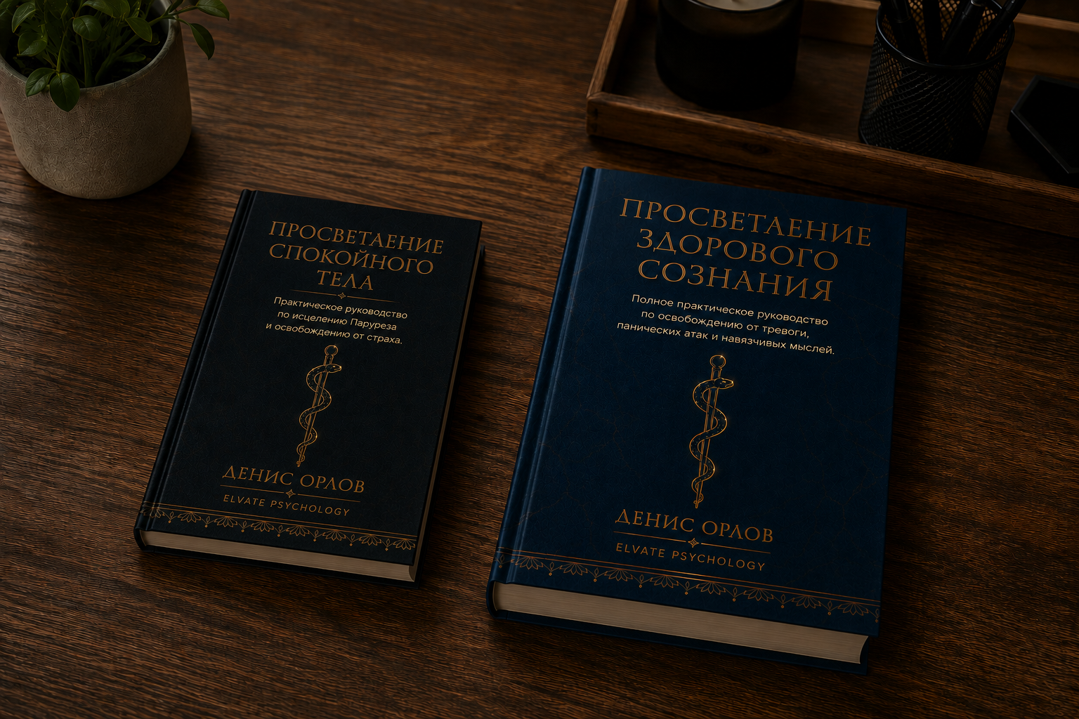 Обе книги на столе — основная и бонусная