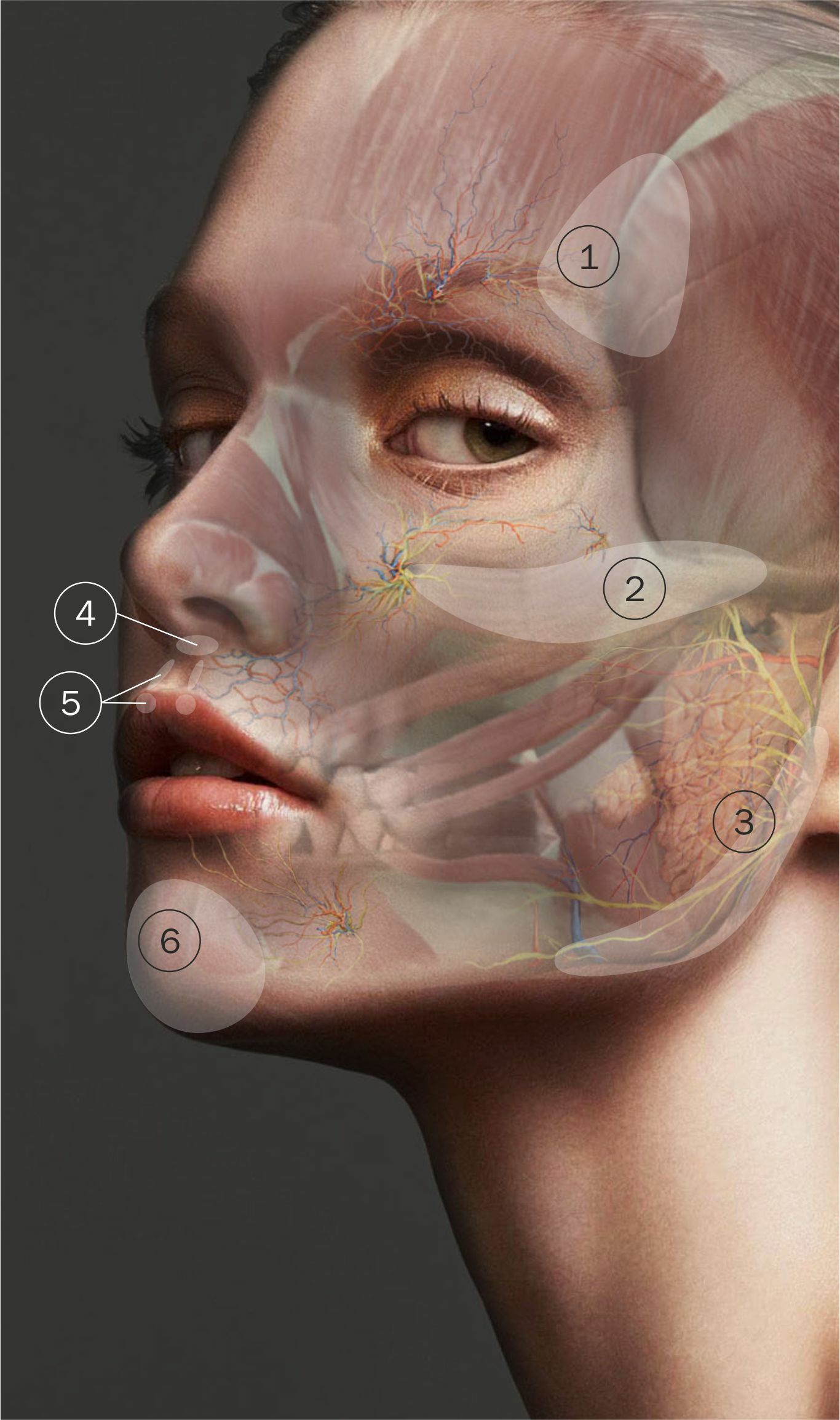 Face Lift опасные зоны