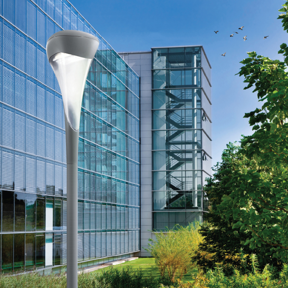 дом творчества ученых. университет дели. кацивели парк. дания urban star philips освещение. умань 200 что это.