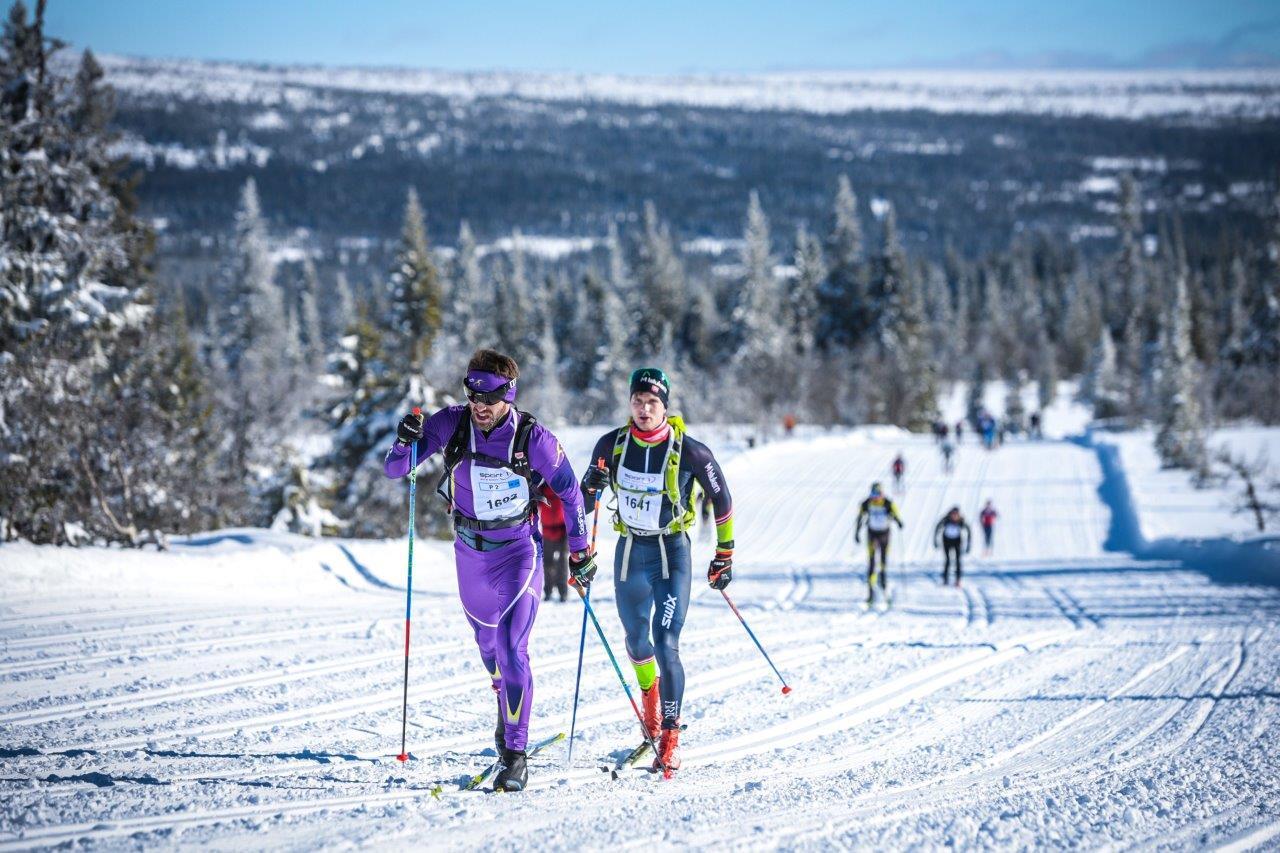 Birkebeinerrennet