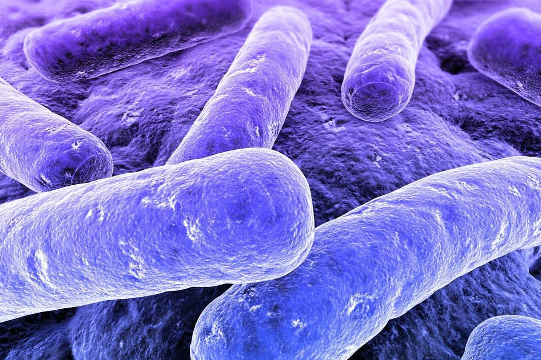 Дезинфекция при туберкулезе