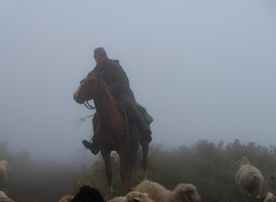 North Caucasus trekking.  Shepherd in the fog