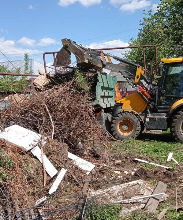 Уборка и утилизация древесных отходов СПб и ЛО| Деревьев Нет