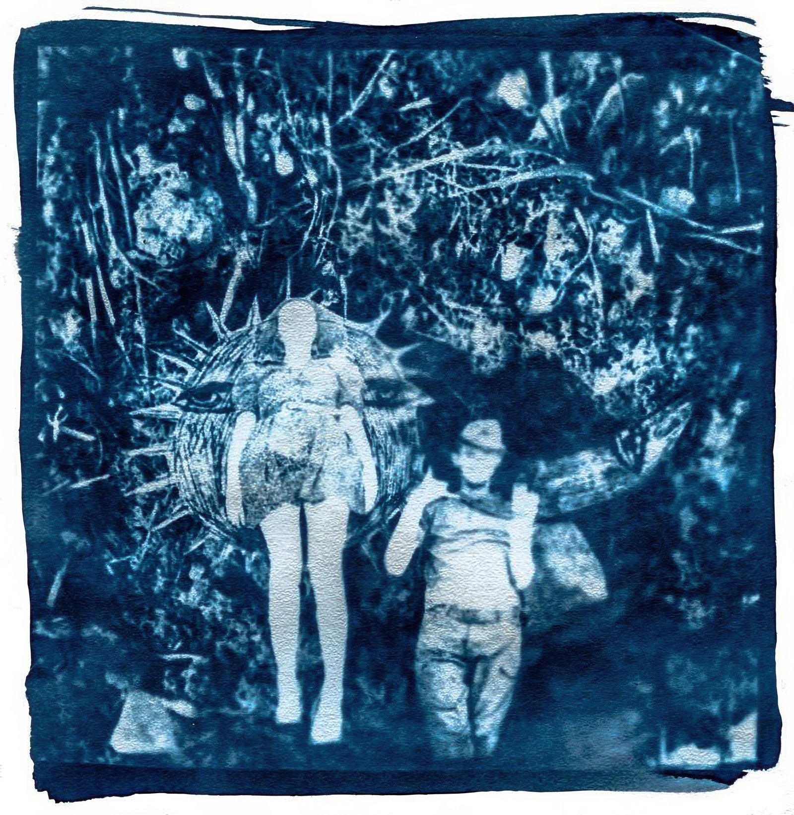 Фотаздымак Таццяны Лісоўскай