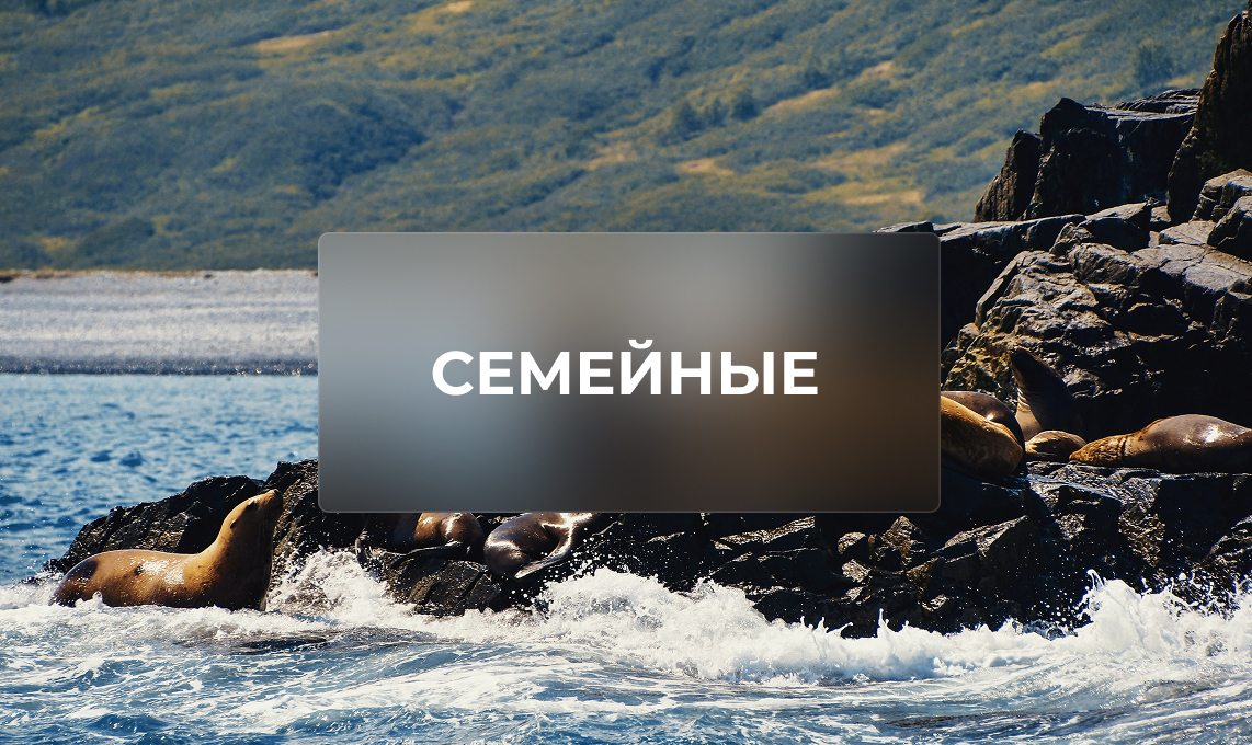 Семейные путешествия