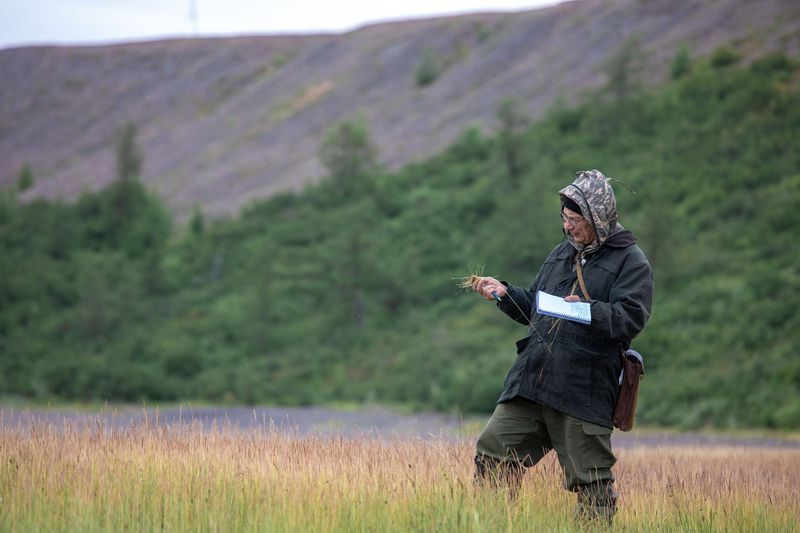 Scientists working on Nornickel's Great Scientific Expedition in 2022.