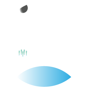 Baltic Orbital Services