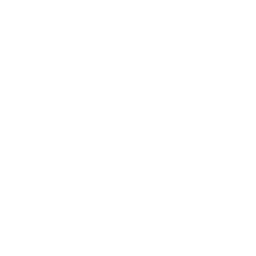 website icon