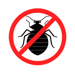 Обработка от клопов