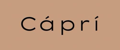 Company