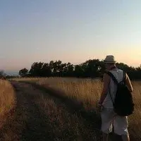 Антон Мартынов