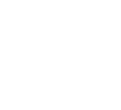 left arrow white 