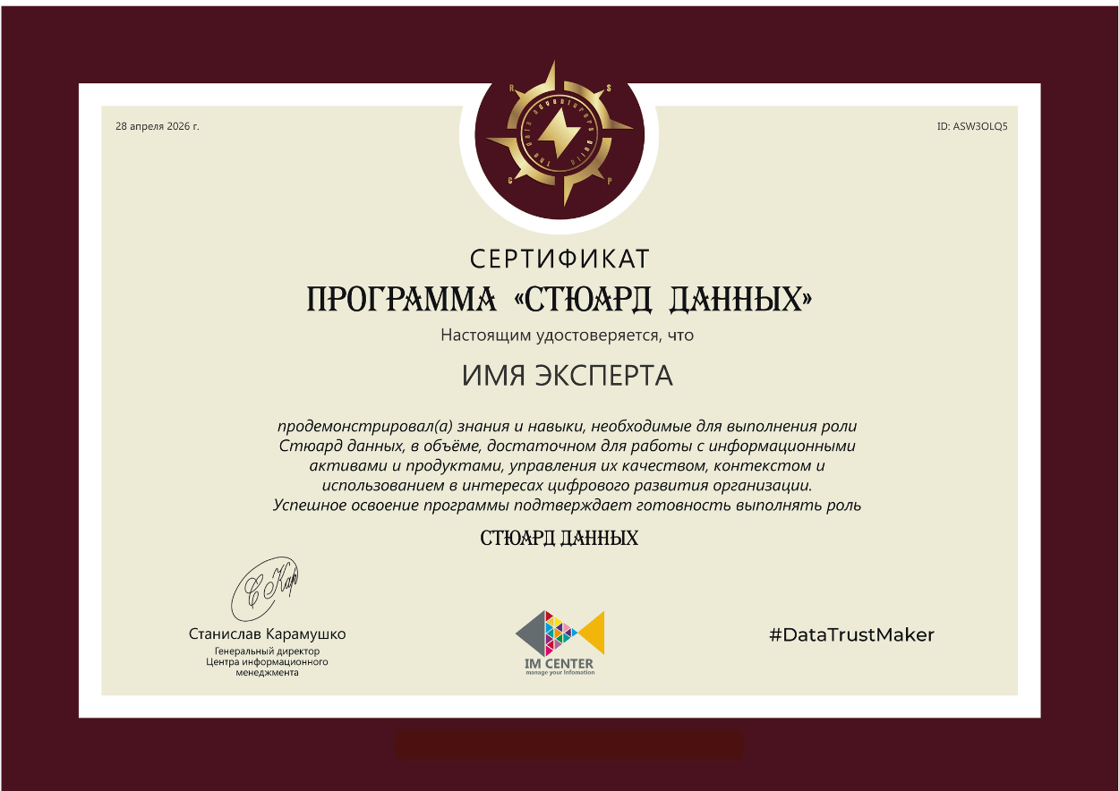 Сертификат программы Data Steward