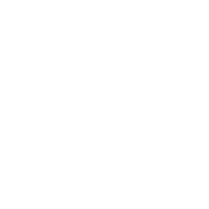 website icon