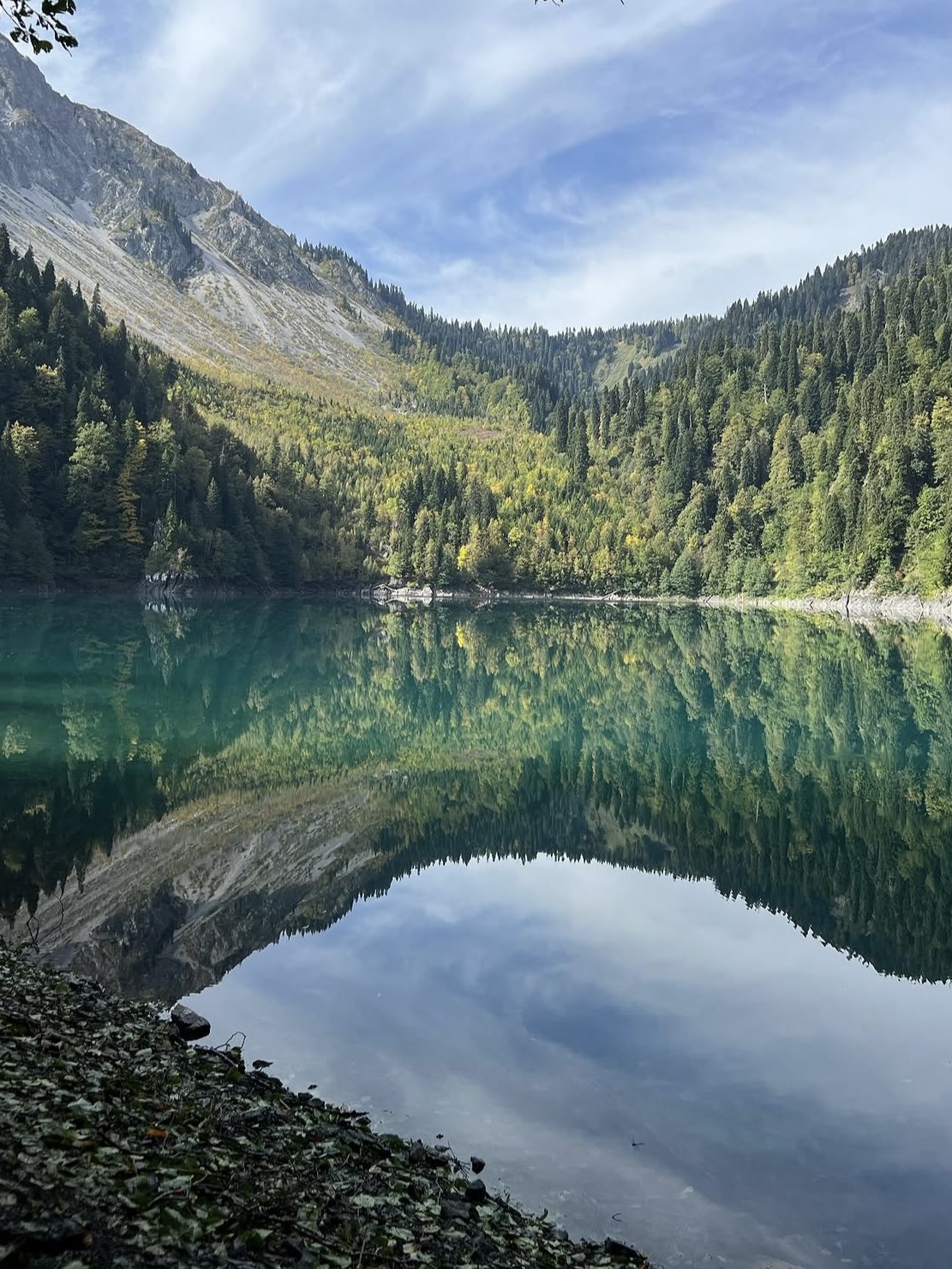 Горное озеро с отражением леса