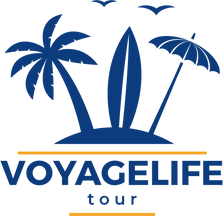 Voyagelife