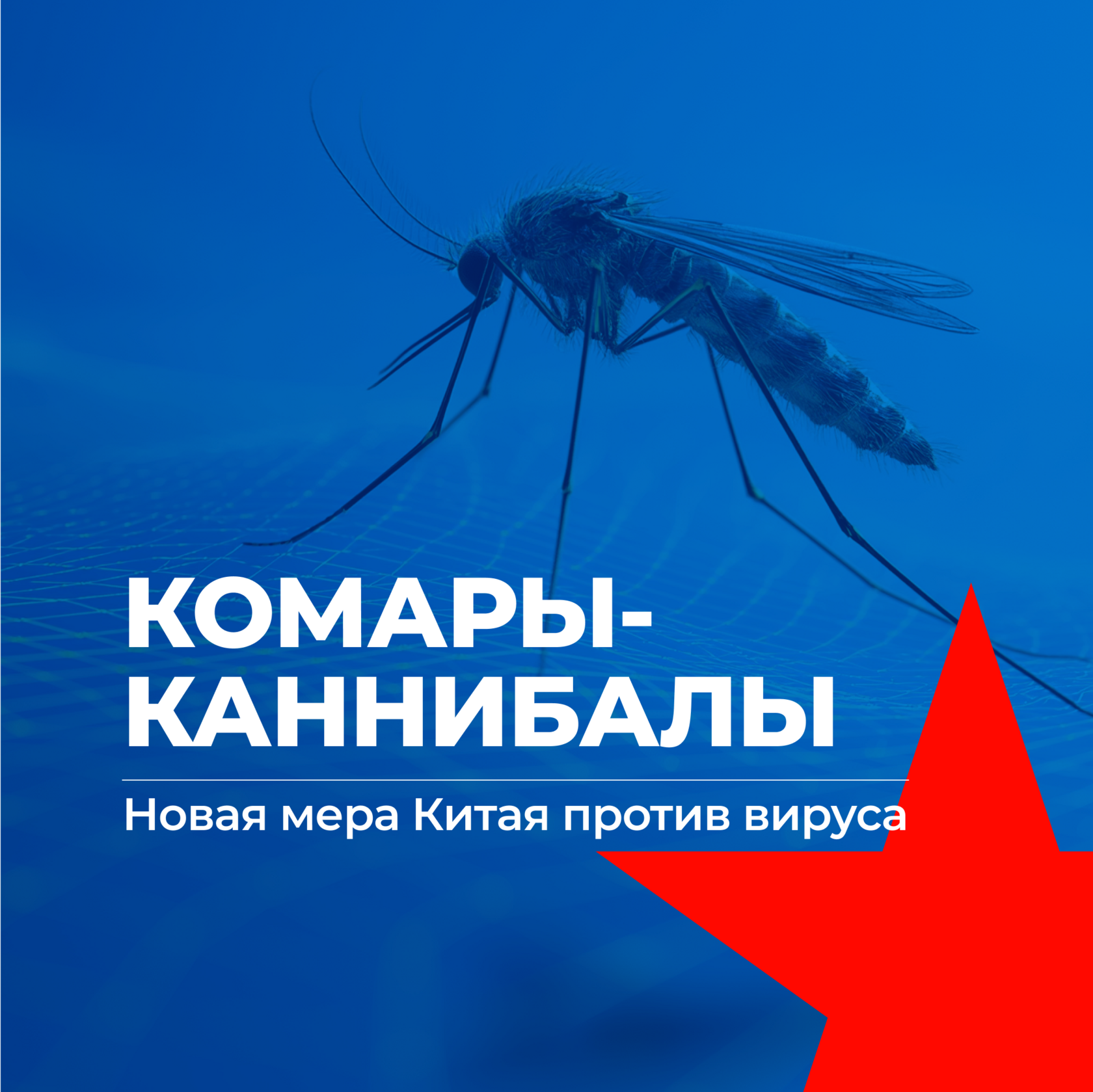 комары,, лихорадка, комары-каннибалы, вирус