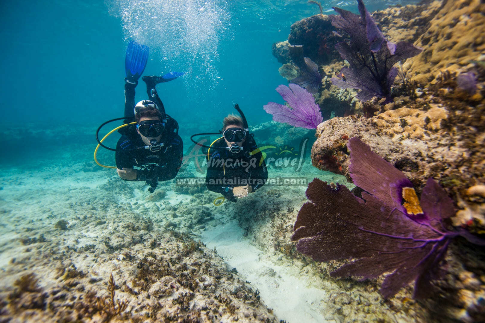 Что такое дайвинг. Скуба дайвинг. Скуба-дайвинг, Scuba-Diving погружение. Дайвинг в Которской бухте. Мармарис подводный мир.