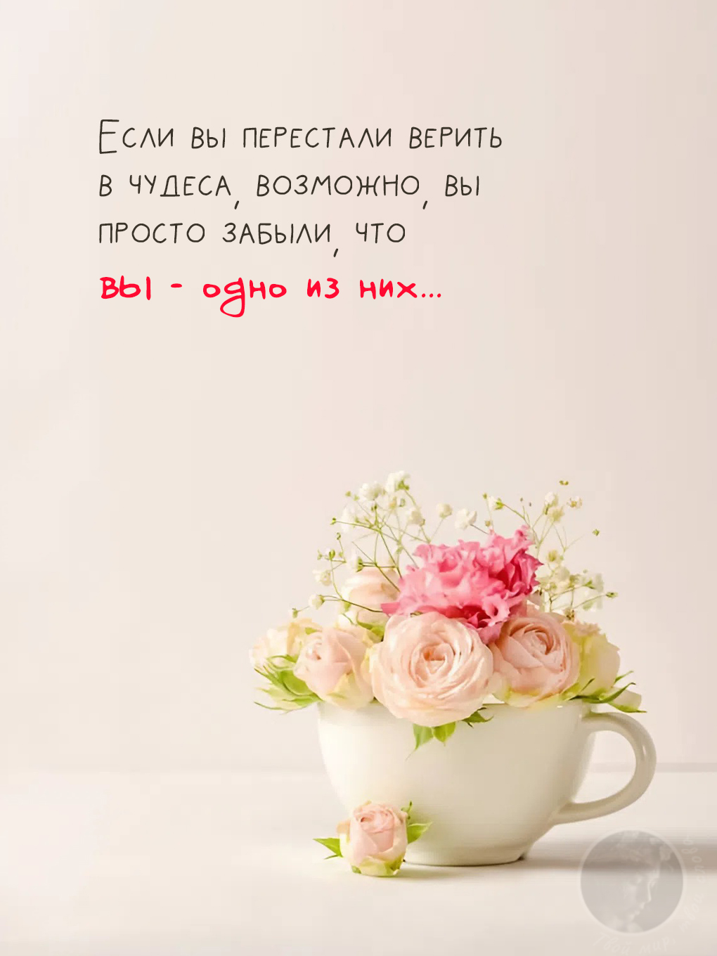 Картинки с добрыми цитатами: вдохновляющая надпись о чудесах с нежными розовыми цветами в белой чашке на светлом фоне.