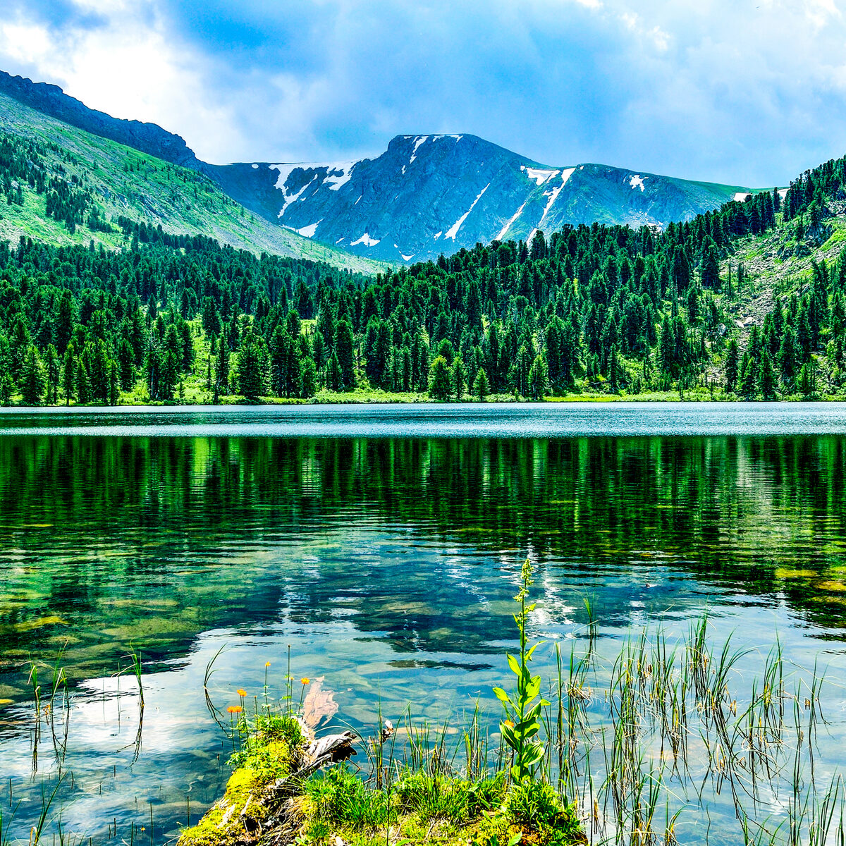 Каракольские озера в Горном Алтае экскурсии