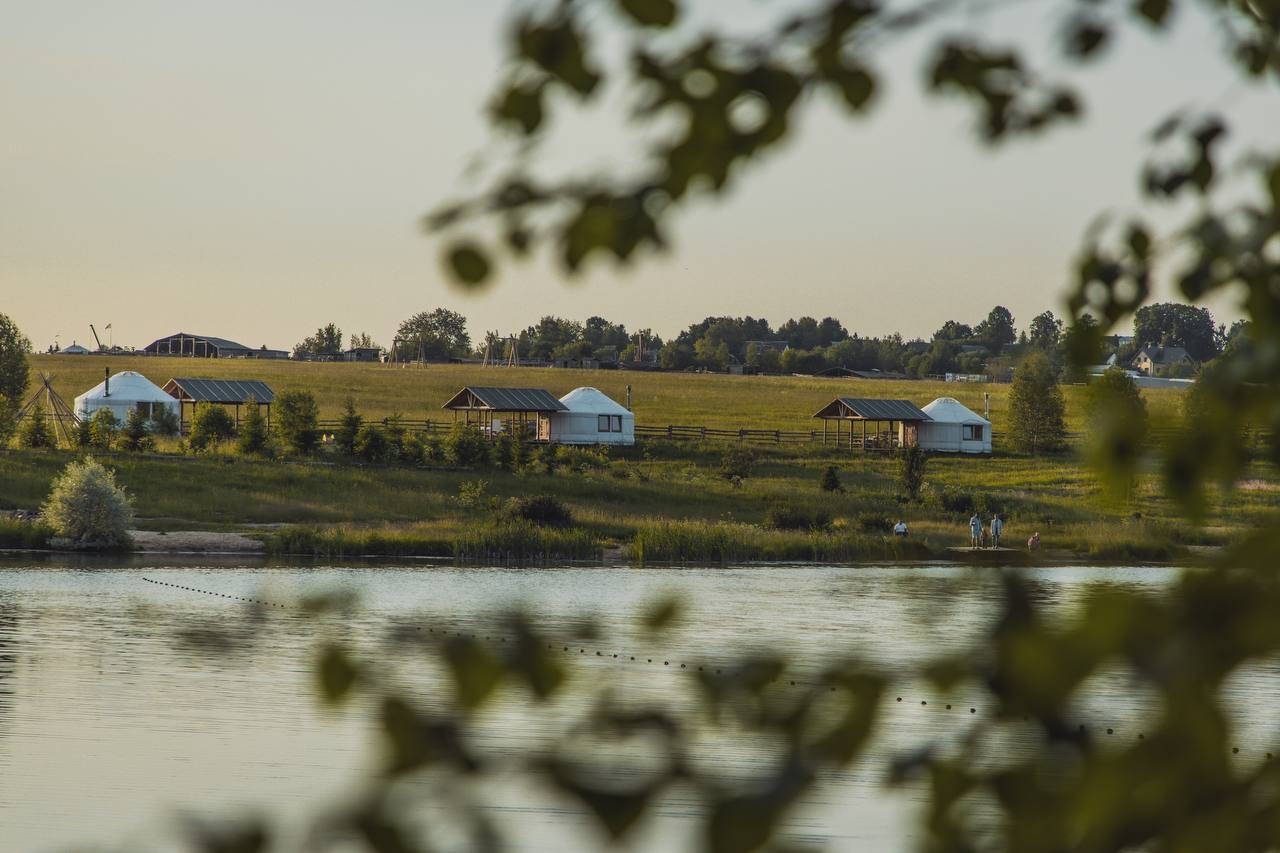 Лесные поляны