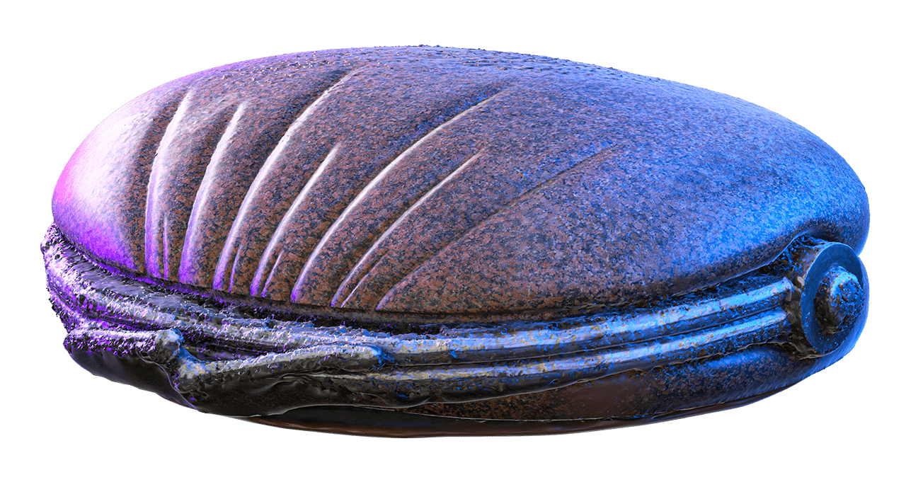 Кошелёк, Краснодарский край, Краснодар