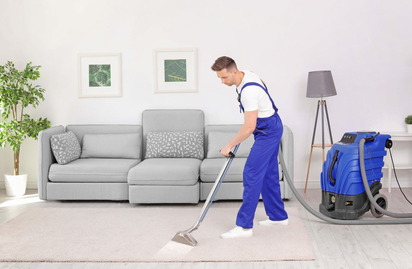 Cleaning carpets with steam cleaner фото 64