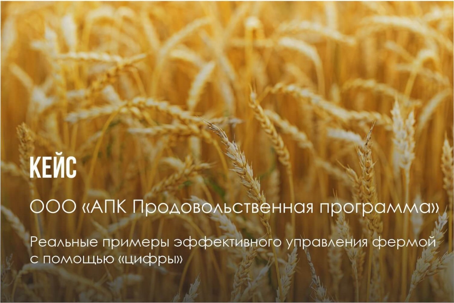 АПК Продпрограмма