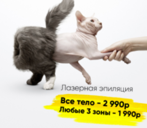 Креатив кошка наизнанку для студии лазерной эпиляции (Well Media)