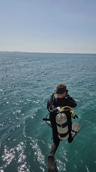 Дайвер с баллоном смотрит на море