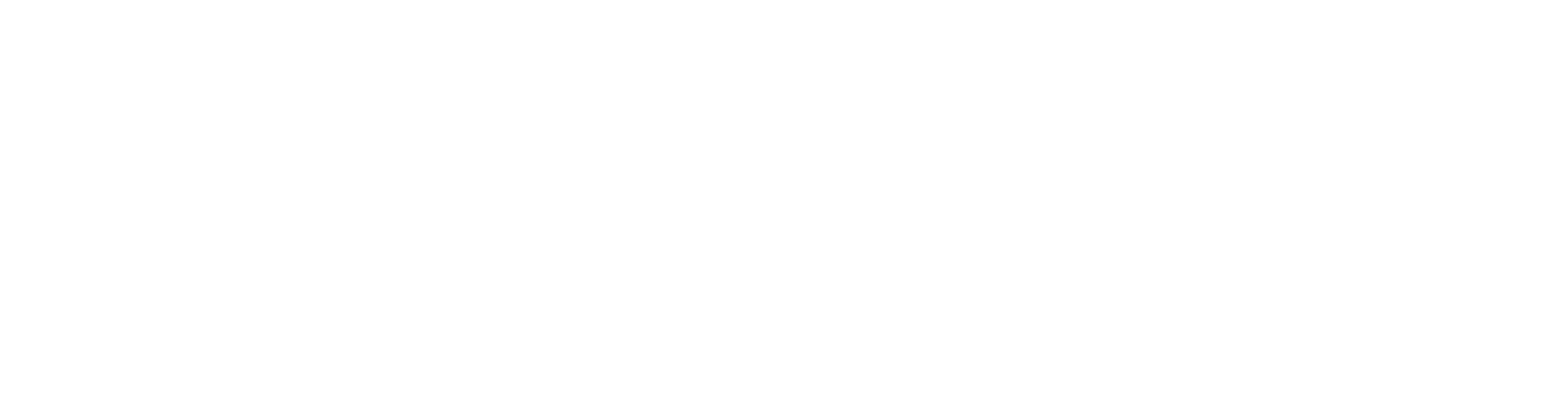 СИЛА ЛИДЕРА