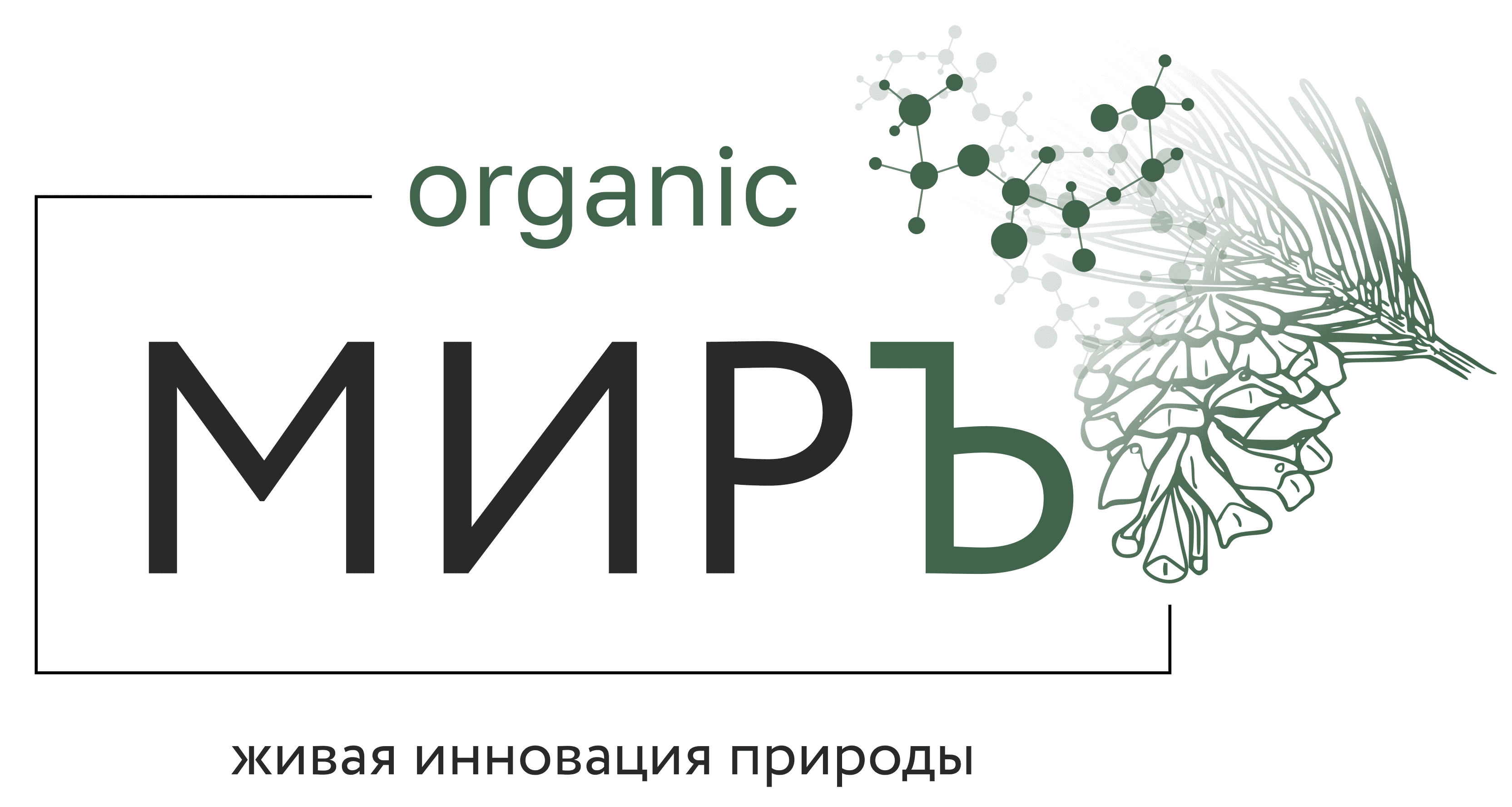 organicМИРЪ - Производитель Клеточного сока из пихты, сосны, кедра, лопуха, крапивы, дягиля прямого отжима из Горного Алтая