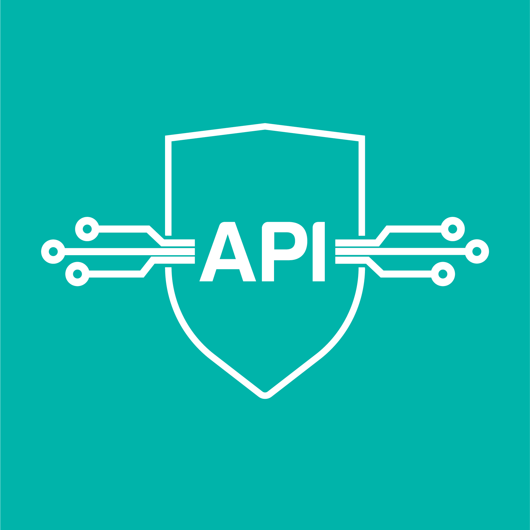 Модуль расширения API-интеграции купить по лучшей цене от компании Биосмарт