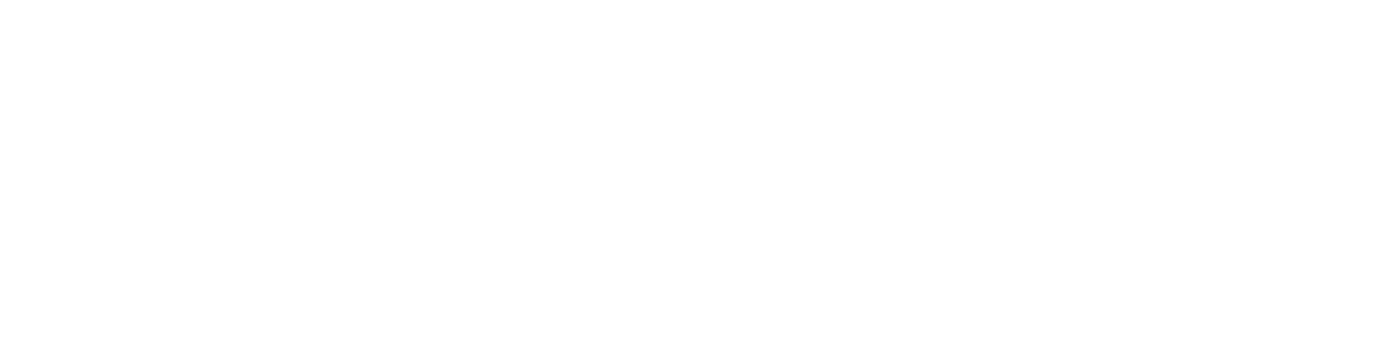 Центр содействия активной молодежи "Единение"