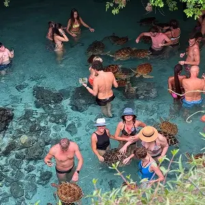 Путешествие в ЮАР - Мыс Доброй Надежды