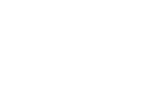 alt="Логотип МАПС-5 Карго"