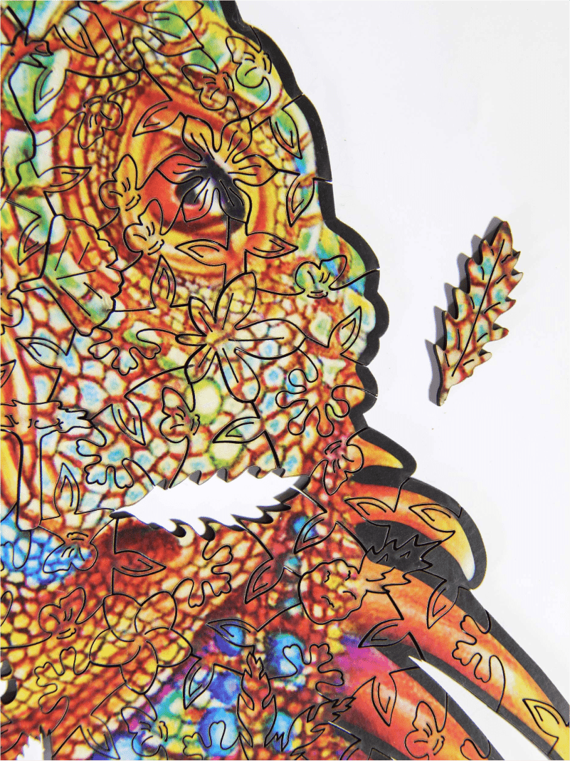 Цветной - мир ярких...