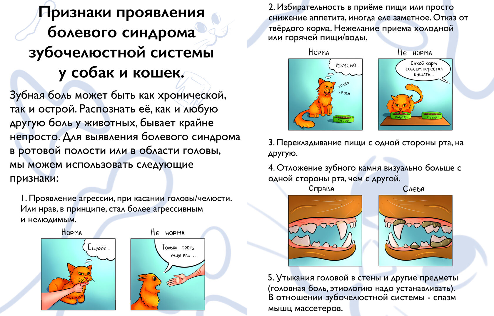 Ветеринарная клиника «Грыззли» | Ярославцева Ярославна | Ветеринарная  стоматология