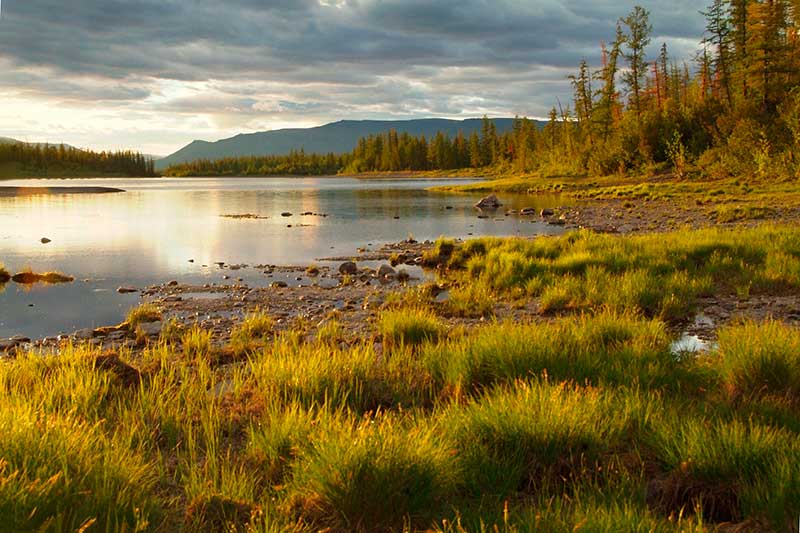Ареал обитания клещей продвигается далеко на север