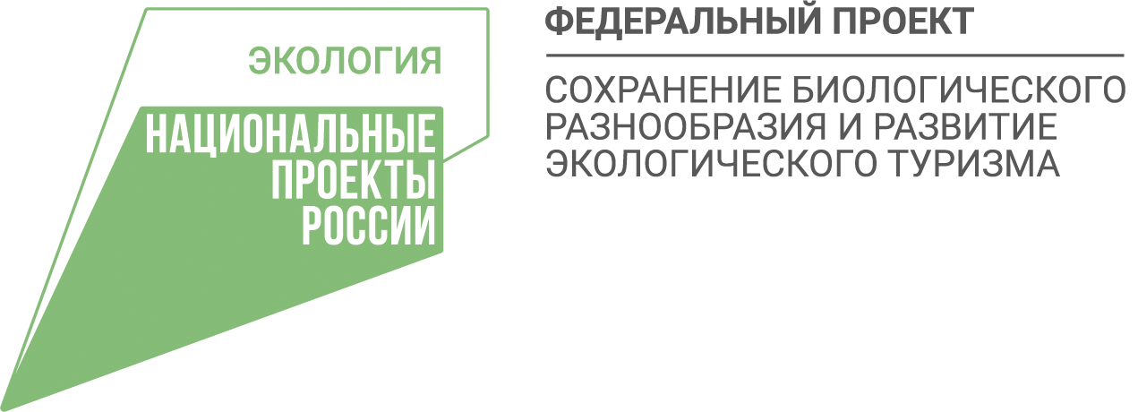 Федерального проекта сохранение биологического разнообразия и развитие экологического туризма